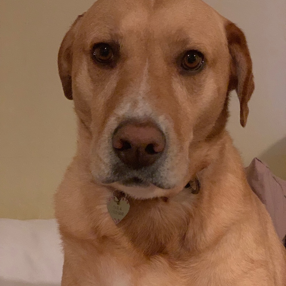 Meet your Posher, Barbra